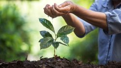 Foto:  artrachen/AdobeStock