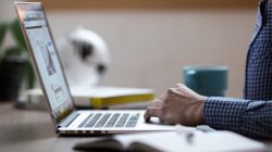 Foto: StockSnap/AdobeStock