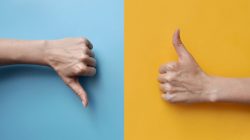 Foto: fidaolga/AdobeStock