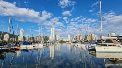 Foto: divulgação/Marina Itajaí