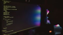 Foto: Alberlan Barros/Pexels