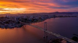 Foto: André Gemmer/Pexels