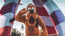 Foto: Craig Adderley/Pexels