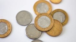 Foto:  Daniel Dan/Pexels