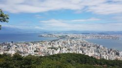 Foto: Likus/Pexels