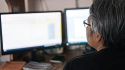 Foto: smolaw11/AdobeStock