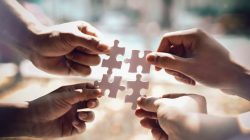 Foto: successphoto/AdobeStock