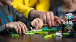 Foto: davit85/AdobeStock