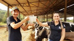 Os produtores Jozidi e Elaine Grolli comemoram a certificação da propriedade em Santiago do Sul. Foto: Arquivo Pessoal / Cidasc
