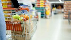 Foto:  Zamrznuti tonovi/AdobeStock