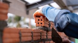 Foto: tong2530/AdobeStock