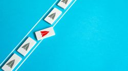 Foto: Andrii Yalanskyi/AdobeStock