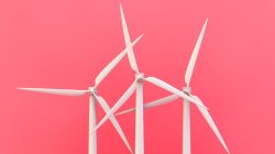 Foto: MclittleStock/AdobeStock